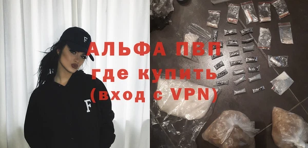 индика Арсеньев