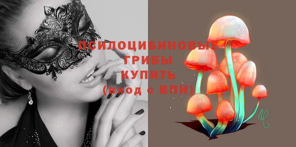 индика Арсеньев
