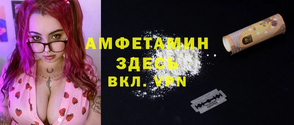 индика Арсеньев