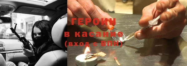 индика Арсеньев