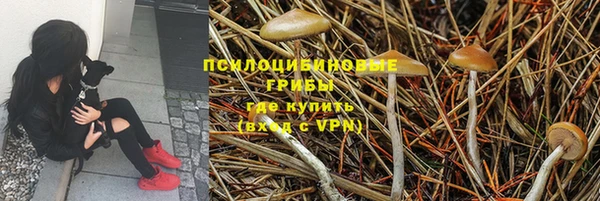 индика Арсеньев