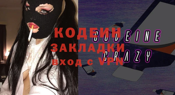 индика Арсеньев