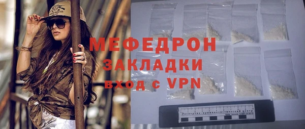 индика Арсеньев
