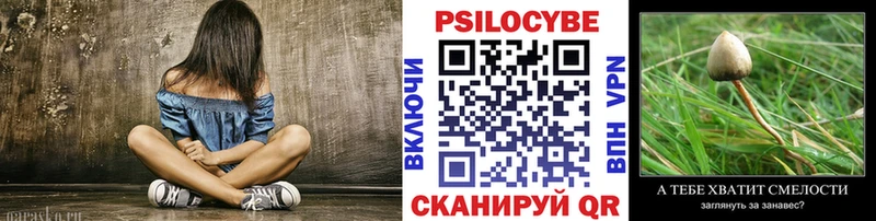 Купить где  Рыбинск  Галлюциногенные грибы Psilocybine cubensis 